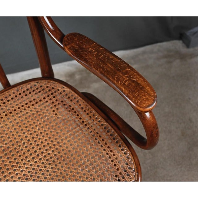 Brown Bent Beechwood Bench from J&J Kohn, Early 20th Century For Sale - Image 8 of 18