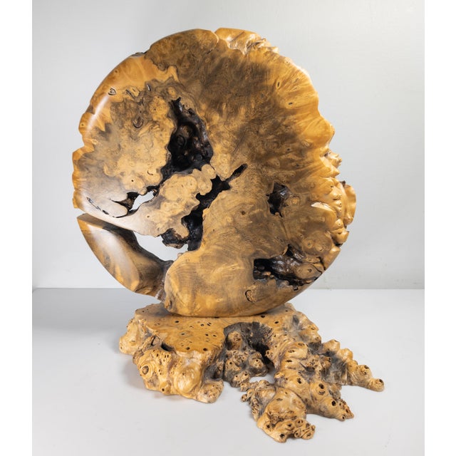 Early 21st Century 21st Century Modernist Contemporary Carved Burl Wood Vase by Warren Vienneau For Sale - Image 5 of 13