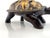 Vintage Mid Century Gilt-Finish Tortoise Sculpture, Hollywood Regency Style Decorative Object For Sale In Little Rock - Image 6 of 15