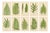 Edward J. Lowe, Tropical Ferns, 1856, Lithographs, Set of 10 For Sale