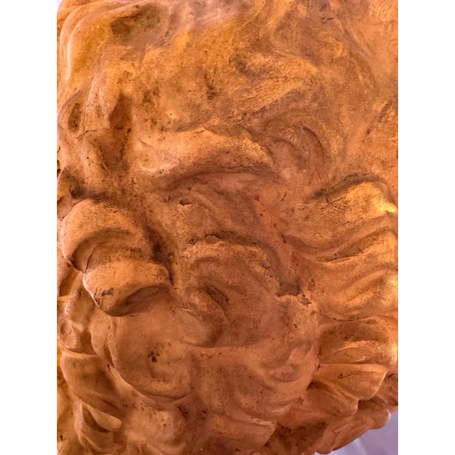 Wood Classical Roman Terracotta Bust For Sale - Image 7 of 7