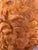 Wood Classical Roman Terracotta Bust For Sale - Image 7 of 7