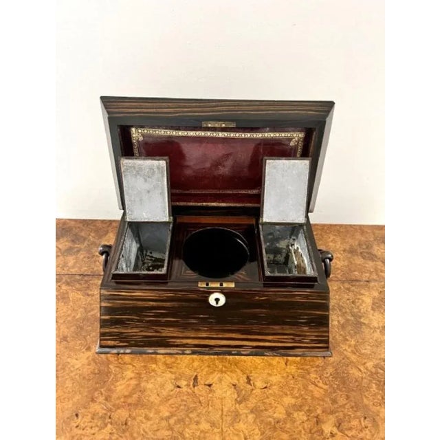 Wood Regency Coromandel Wood Tea Caddy, 1830s For Sale - Image 7 of 10