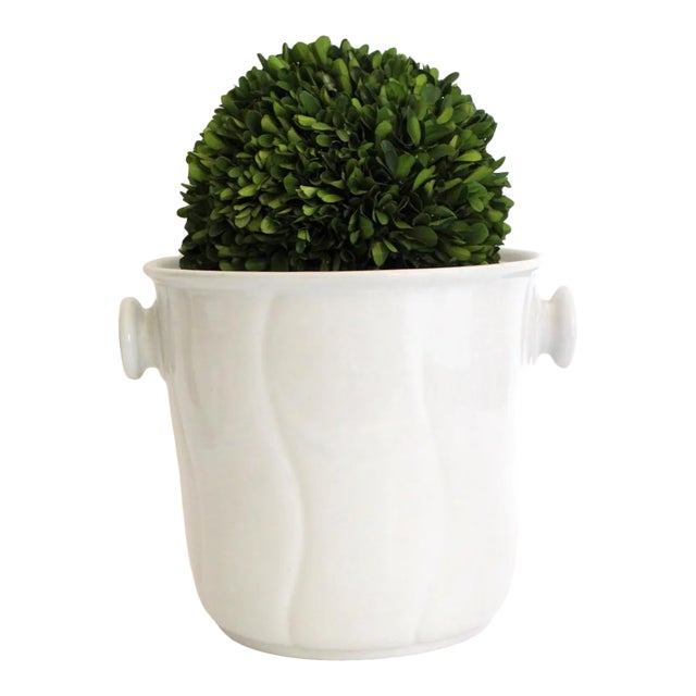 Antique English Ironstone Jardiniere Centerpiece For Sale