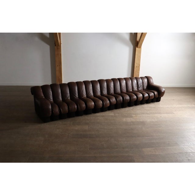 Brown DS 600 Sectional Sofa by Heinz Ulrich, Ueli Berger and Eleanora Peduzzi-Riva for de Sede, 1980s, Set of 17 For Sale - Image 8 of 12