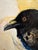“Nesting” Ravens Painting by LWren Walraven For Sale - Image 9 of 13