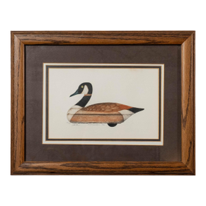 Late 19th Century Antique Duck Decoy Print