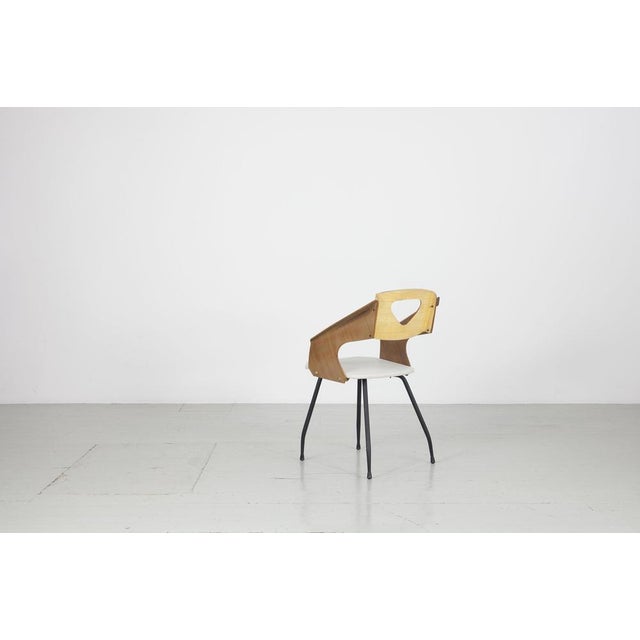 Dining Chairs by Carlo Ratti for Industria Legni Curvati, Milan, 1950s, Set of 6 For Sale - Image 12 of 18