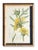 Victorian Framed Antique Chromolithographs Set of 7 From "Wild Flowers of America", Series II Volume Ii, L. Prang & Co., Boston (C. 1879) For Sale - Image 3 of 18