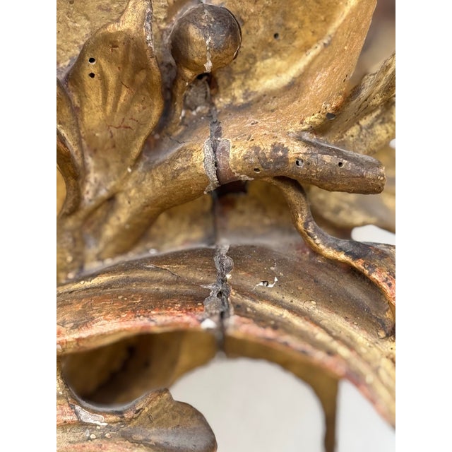 Exuberant Antique Italian Carved Giltwood Reliquary -17th Century (Could Be Used as a Tabletop Mirror ) For Sale - Image 12 of 12
