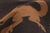 Vintage Mexican Zapotec Rug, 01'02 X 01'06 For Sale In Dallas - Image 6 of 10