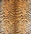 The House of Scalamandré Tiger - Silk Fabric, Brown on Gold For Sale