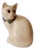 Ceramic Cat from Longwy, 1970s For Sale