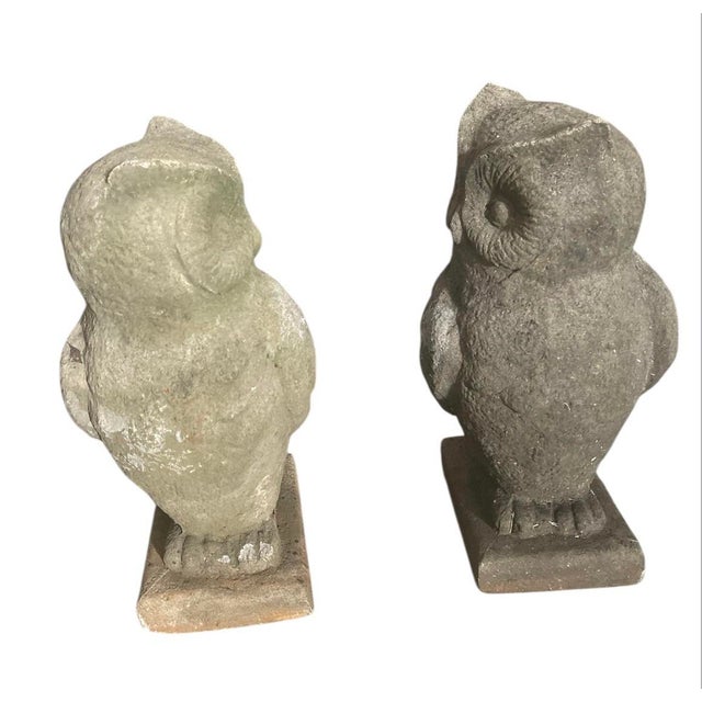 2000 - 2009 A Pair of a Vintage Cast Stone Garden Owl Statues For Sale - Image 5 of 7