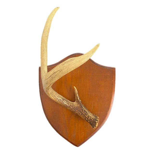Vintage Single Deer Antler on Wood Shield Plaque – Sculptural Rustic Wall Decor, Ralph Lauren Lodge / Collected Interior Accent For Sale