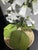 Late 20th Century Metal Foxglove Sculpture For Sale - Image 4 of 10