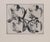 André Thomkins (1930-1985) Quadroculist Original aquatint Limited edition of 200, this is number 51 Signed and dated in...