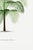 Tropical Palm Study, Vintage Botanical Art Print Reproduction, 20" X 30" For Sale - Image 10 of 10