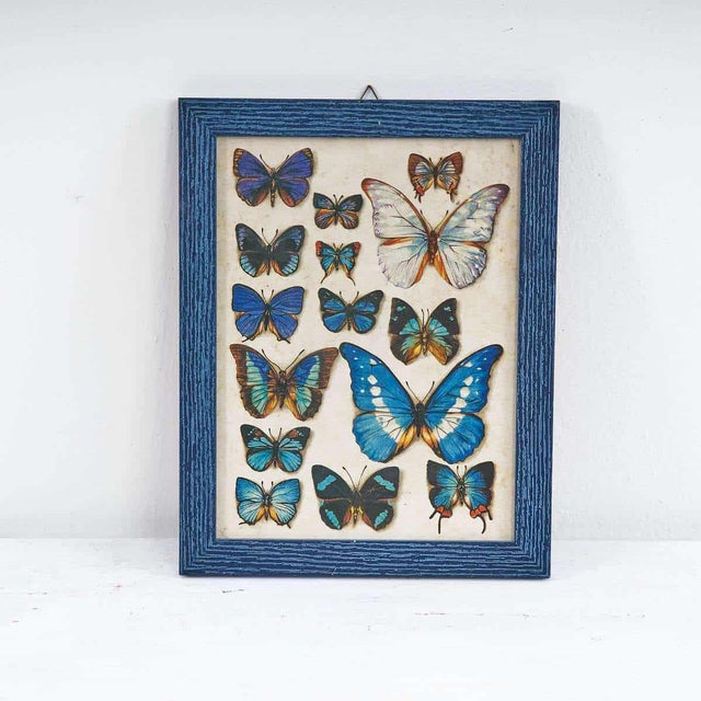 Butterfly Nature Chart Print For Sale - Image 5 of 5