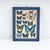 Butterfly Nature Chart Print For Sale - Image 5 of 5