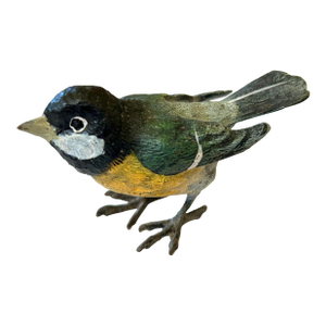 Vienna Austria Cold Painted Bronze Bird Sculpture