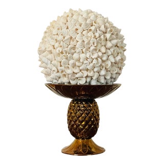 1970s Large Coastal Ses Shell Globe on Gold Brunswick Tropical Tazza For Sale