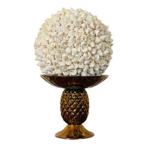 1970s Large Coastal Ses Shell Globe on Gold Brunswick Tropical Tazza