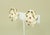 Modern Late 20th Century Judith Leiber Enamel Frog Earrings With Glass Cabochon Stones, a Pair For Sale - Image 3 of 10
