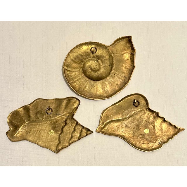 Vintage Palm Beach Regency Polished Brass Sea Shell Wall Decor - Set of ...
