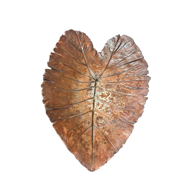 Inspired by the dramatic form of the Elephant Ear (Colocasia) leaf, this oversized hand-cast concrete bowl brings...