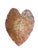 Inspired by the dramatic form of the Elephant Ear (Colocasia) leaf, this oversized hand-cast concrete bowl brings...
