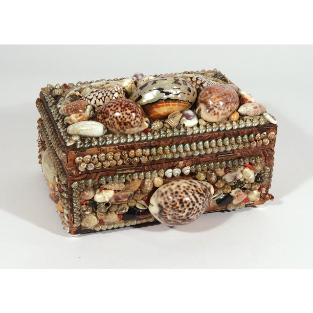 Victorian Shell Encrusted Box With Mirror and Pincushion Interior, 19th Century For Sale - Image 4 of 13