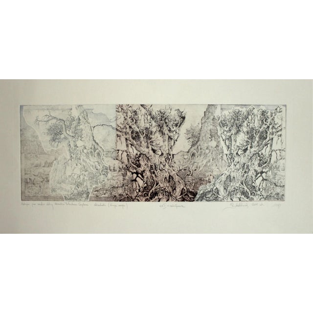 Krzysztof Wieczorek, Wandering Through Herkules Peterszon Seghers' Wide Valleys, Etching on Paper, 2011 For Sale - Image 6 of 9