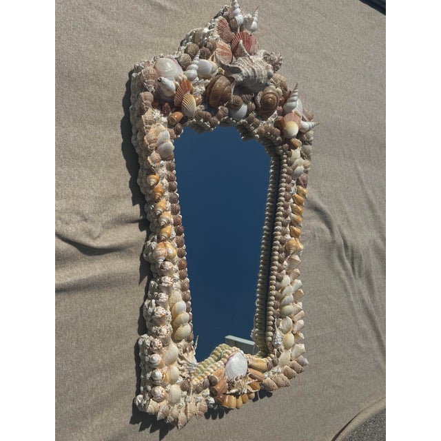 Bring the beauty of the ocean into your home with this Currey and Company shell framed natural clear wall mirror. This...