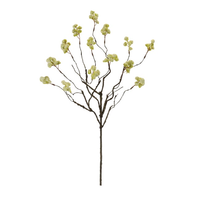 Add a fresh, natural touch to your decor with this Green Floral Spray Set. Featuring delicate clusters of soft green...