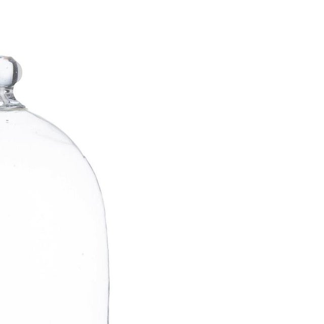Glass Dome, 19th Century For Sale - Image 4 of 6