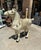 1970s Oversized Vintage Marble Horse Statue With Gem and Gold Details For Sale - Image 5 of 7