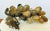 Gemstone Pair MCM Agate Stone Fruit For Sale - Image 7 of 10