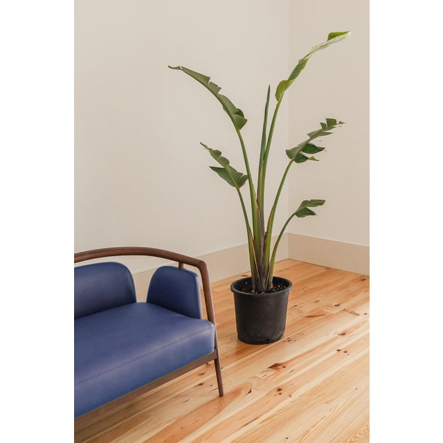 Essex Blue Leather Sofa by Javier Gomez For Sale - Image 4 of 8