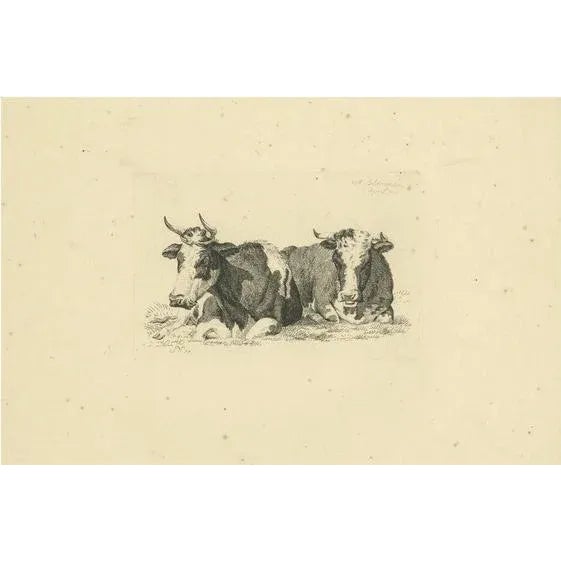 Anthony Oberman, Pastoral Scene with Two Resting Cows, 1810, Print For Sale - Image 8 of 8