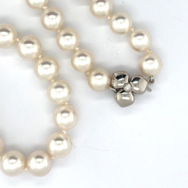 Contemporary Late 20th Century Tiffany & Co France Pearl Necklace For Sale - Image 3 of 4