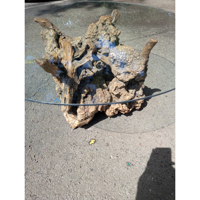 1960s Vintage Tree Root Coffee Table For Sale - Image 9 of 9
