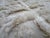 Rh Cabila Wool Rug – 9' × 12' Ivory | 87% Wool & 13% Cotton | Hand-Knotted High-Low Construction (2nd Piece) For Sale In Columbus - Image 6 of 18