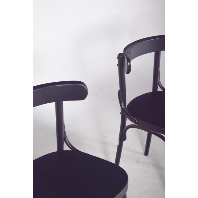 Vintage Black Lacquered Chair, 1950 For Sale - Image 6 of 10