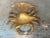 Brass Late 20th Century Vintage Extra Large Brass Crab Figure Box, With Baby Crab on Back For Sale - Image 8 of 11