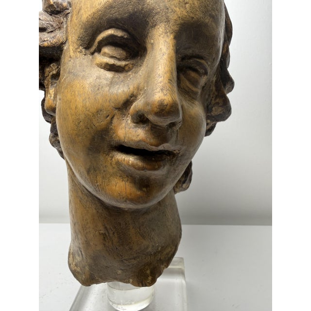 Genovese Artist, Sculpture Depicting the Head of an Angel, 17th Century, Wood For Sale - Image 4 of 18