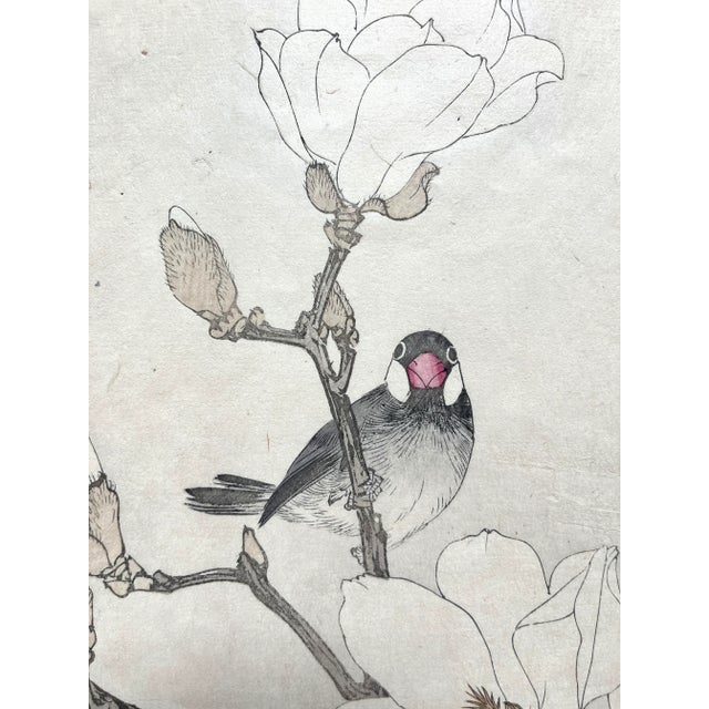 Japanese Imao Keinen, "Magnolia and Jave Sparrow," 1891 First-Edition Antique Japanese Woodblock Print, Framed For Sale - Image 3 of 3