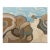“Tide Pool” Oil on Linen by Nancy M. Vignola - For Sale