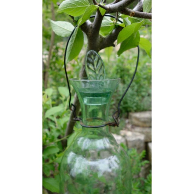 French Vint. French Glass Bug Trap, Pale Green W/Stopper For Sale - Image 3 of 10