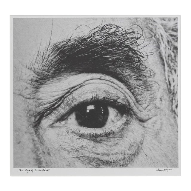 Anne Sager "The Eye of Eisenstaedt" Photograph For Sale